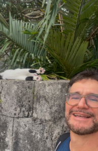 Encontro com felinos