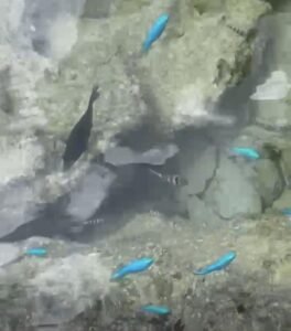 Mirai beach 03 em Okinawa