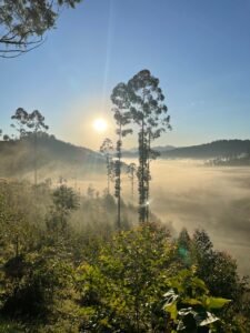 Pico dos Marins_paisagem