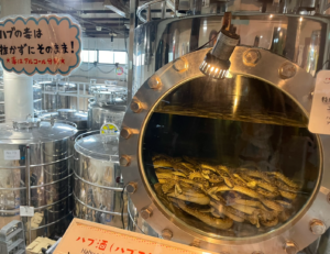 cobras habu conservadas em tanques de vidro